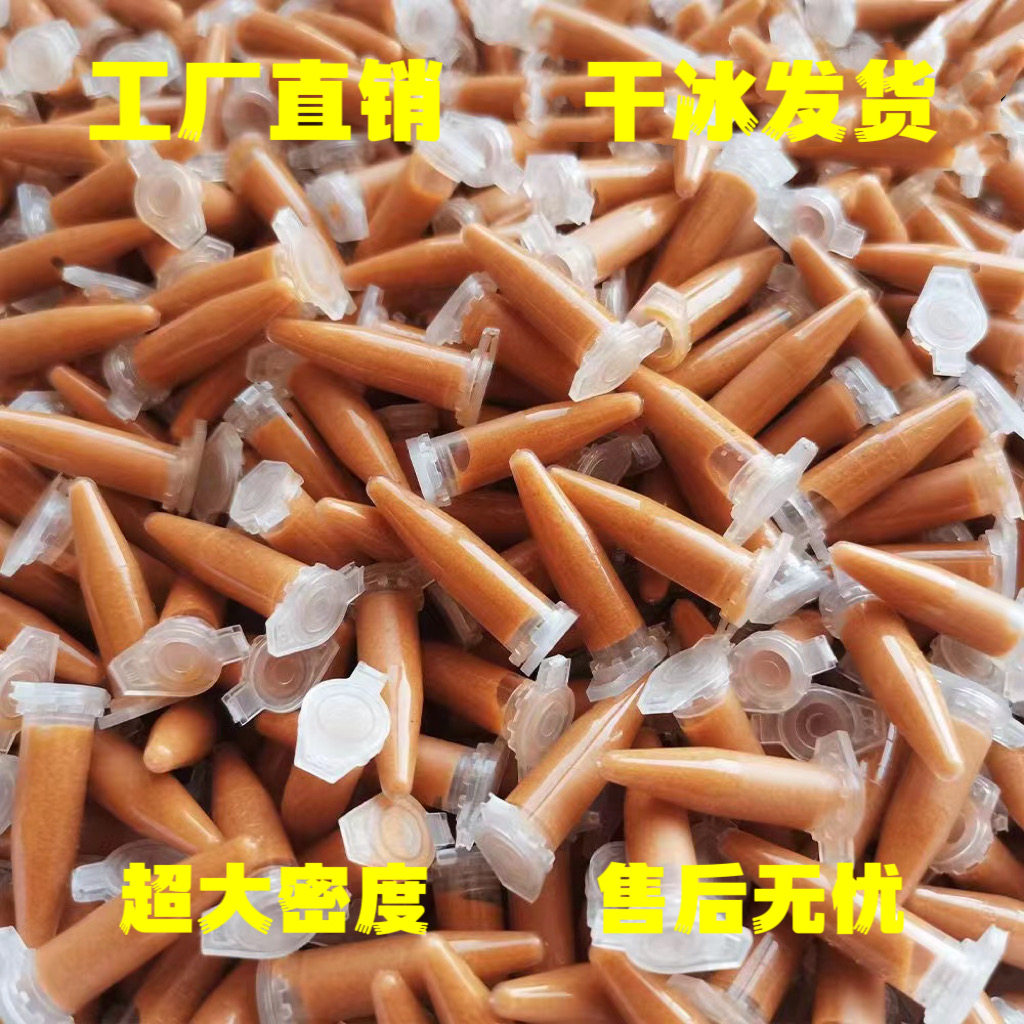 小型鱼高密度高营养小鱼爱吃鱼食图片