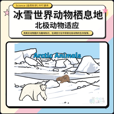 Arctic Animal北极动物英语启蒙小学课堂互动PPT自然科学课件备课
