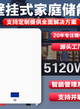 51.21v200ah户用家庭储能10kwh太阳能光伏带出口定制逆变器锂电池