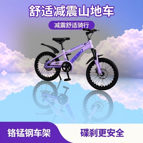 双层铝圈山地车特迈奇内贴男女