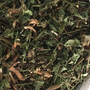 青草药 五爪龙 狗脚迹 猫蹄草500克