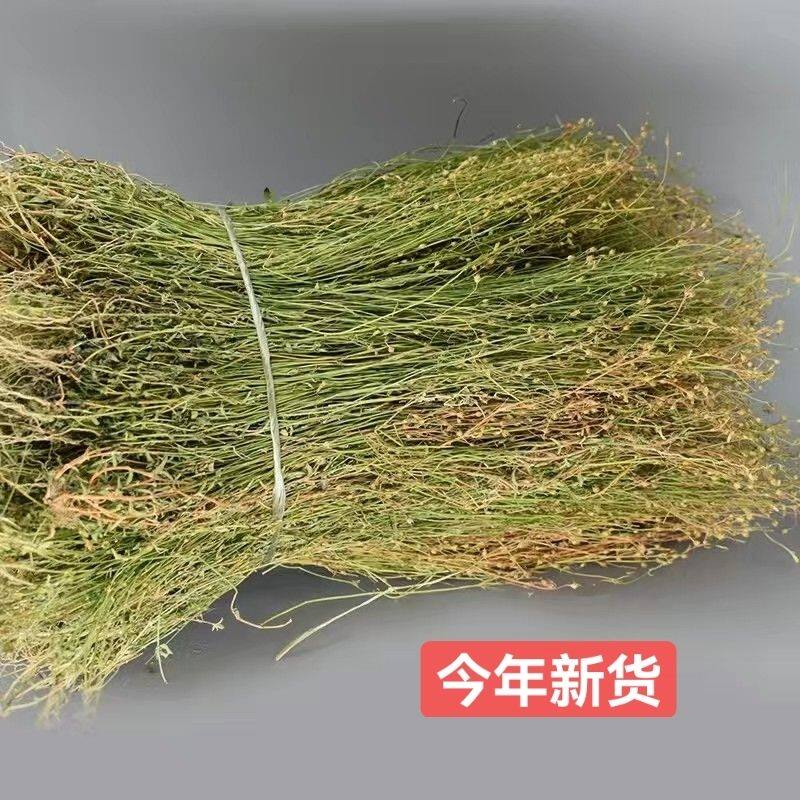 新货青草药潮汕优质四叶莲 四合