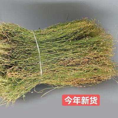 新货青草药潮汕优质四叶莲 四合莲 四合梅 天良草 手工挑选