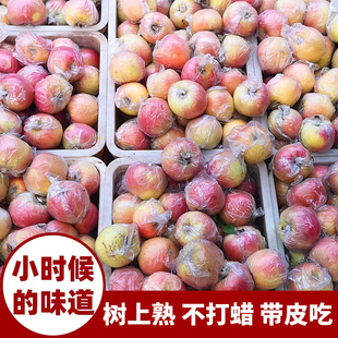 丑苹果 新鲜水果当季应季红富士大沙河儿童孕妇农产品5斤10斤