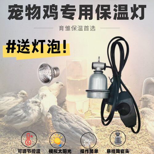 芦丁鸡保温育雏宠物取暖加热灯