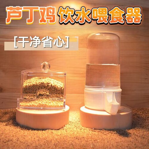 芦丁鸡饮水器喂食器透明下料食盒