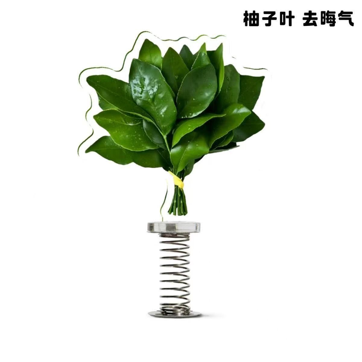 柚子叶小红书同款去晦气神器摇摇乐亚克力个性礼物送朋友车载摆件