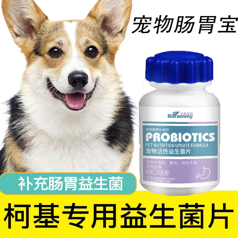 柯基专用益生菌片宠物保健益生菌狗狗肠胃宝肠道消化宝调理成幼犬