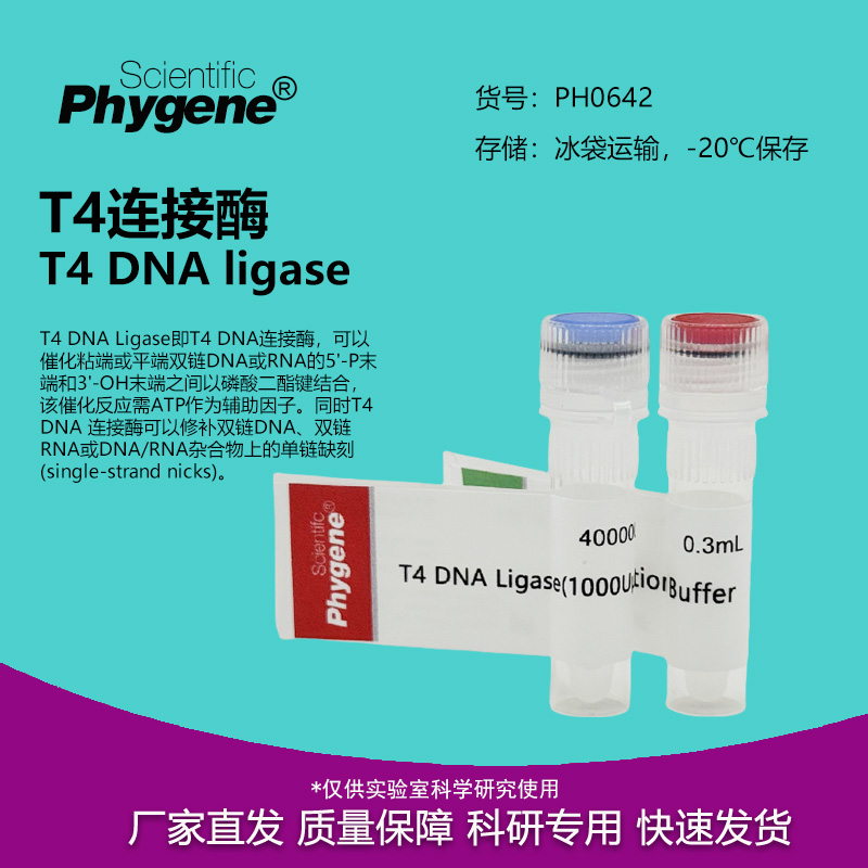 T4DNA连接酶T4连接酶实验试剂