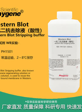 实验试剂WB一抗二抗洗脱液(酸性)