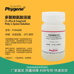 1× 切片玻片包被液粘合剂 多聚 赖氨酸 50mL 多聚赖氨酸溶液