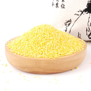 河北特产卢龙孤竹味道小金米5斤新米黄小米粥五谷小黄米月子米