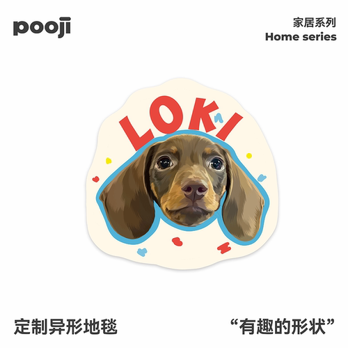 POOJI宠物定制地毯来图DIY礼物