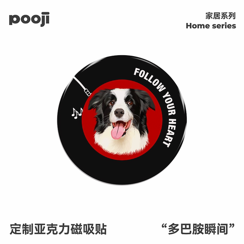 POOJI宠物定制边牧犬唱片图案手工滴胶磁吸冰箱贴家居装饰礼物
