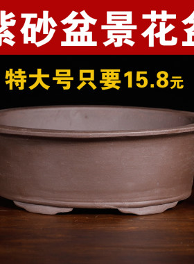 简约紫砂紫砂盆景专用大口径花盆