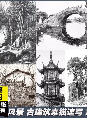 风景古建筑树木校考速写铅笔画钢笔画临摹画图片素描考研线稿素材