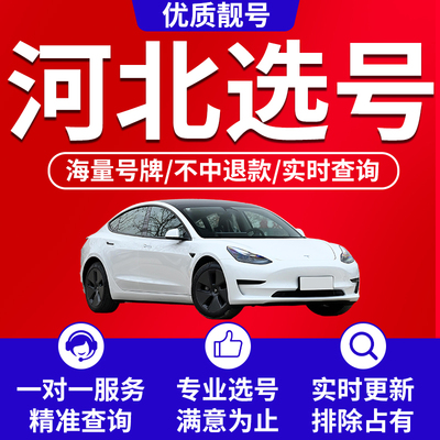 河北唐山石家庄邯郸保定廊坊邢台秦皇岛市自编车牌选号新能源汽车