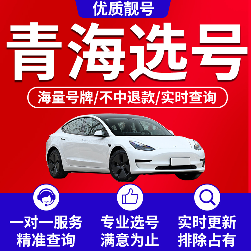西宁海西海东市海南黄南海北玉树果洛州自编车牌选号新能源汽车