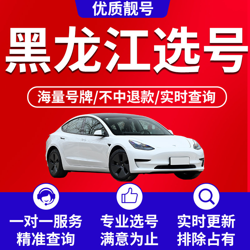 黑龙江哈尔滨大庆齐齐哈尔绥化佳木斯市自编车牌选号新能源汽车