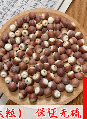 新鲜肇庆芡实干货500g特级中药材正品大颗芡实鸡头米 可打芡实粉