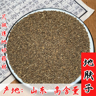 地肤子中药材500g克新货地夫子正品落帚千头子 地肤子粉 地肤子茶
