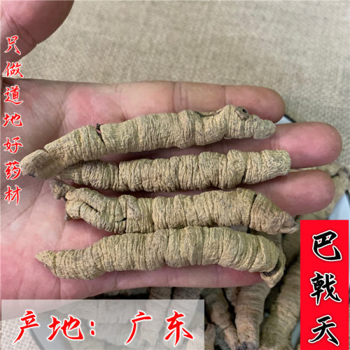 巴戟天中药材可搭淫羊藿黄精泡酒