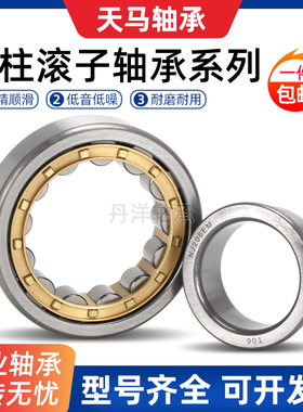 天马丹洋圆柱滚子轴承N NU NJ RN NUP NF 2332 2334 2336EM C3 4K