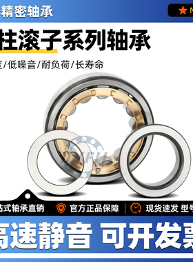 丹洋圆柱滚子轴承NUP415 416 417 418 419 420 422 424 426 428EM