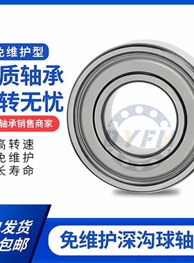 哈尔滨丹洋免维护轴承62032RSTFP 6204 6205 6206 620762086209..