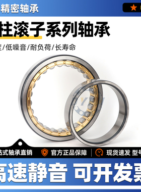 丹洋国产圆柱滚子轴承N NU NJ RN NUP NF308 309 310 311EMC3 4P5