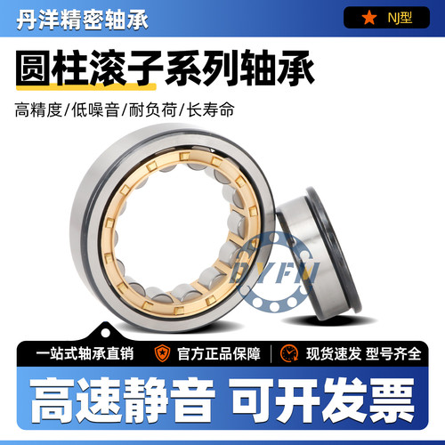 丹洋圆柱滚子轴承NJ202