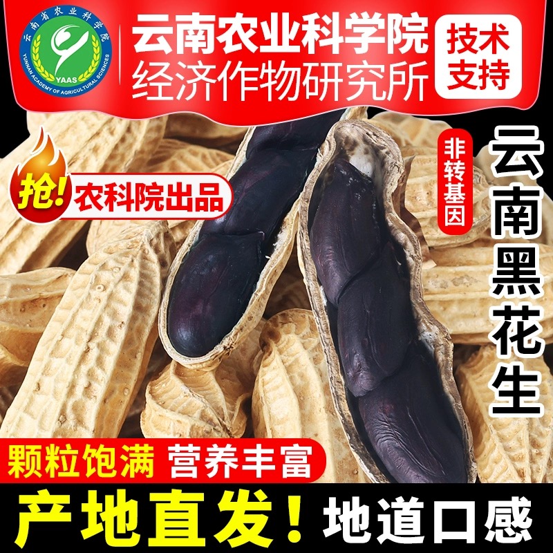 2023年新黑花生米云南特产水果牛奶花生手工坚果零食农科院黑花生