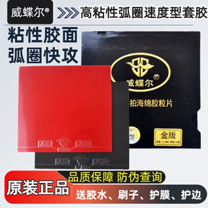 乒乓球胶皮内能球拍反胶套胶