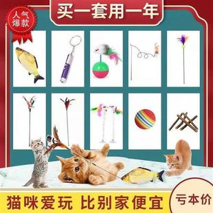 逗猫玩具逗猫棒套装 自嗨激光笔幼薄荷鱼不倒翁猫咪玩具一件