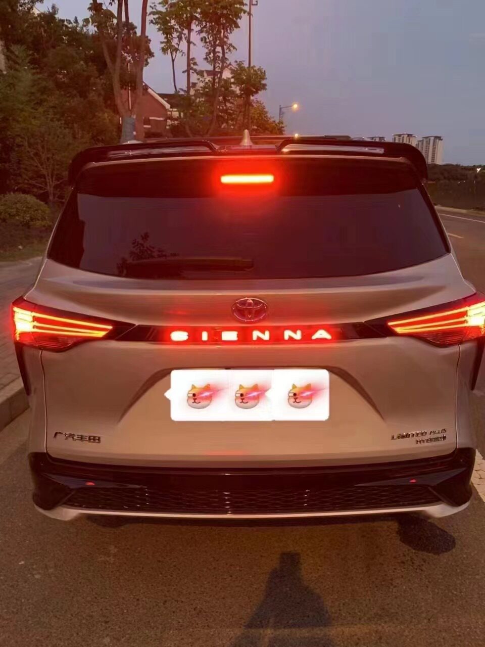 赛那尾门贯穿灯条尾门饰条带灯