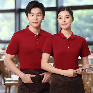 夏季新款青年翻领短袖t恤polo衫男女工装上衣S2316p18图片
