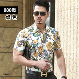888绿色