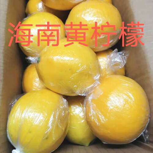 海南黄柠檬薄皮汁香味浓郁5斤