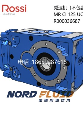 MR CI 125 UO2A 612,R000036687 意大利ROSSI罗尔西减速机