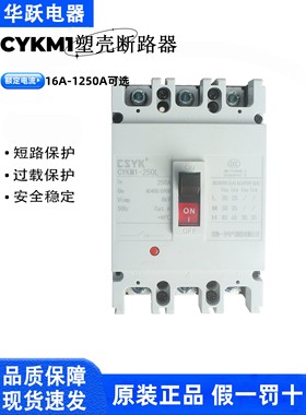 常熟一开塑壳断路器CYKM1-100C/L/M/H/63A250A400A630A800A1250A