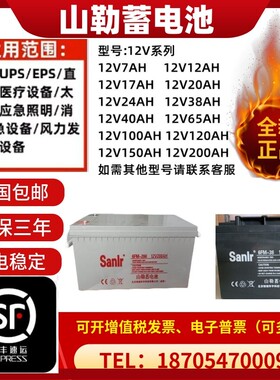 Sanlr山勒蓄电池6FM-100消防12V17A24A38A65A100A120A150A通讯EPS