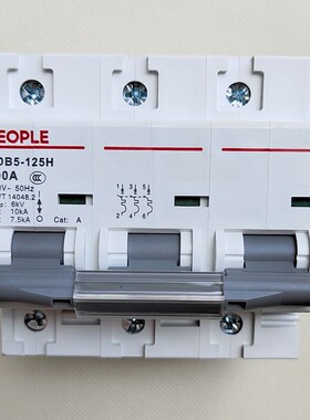 PEOPLE人民电器RDX2-125 3P 80A 100三相三线 线进出380V导轨大空