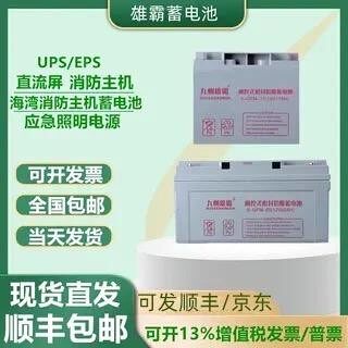 九州雄霸蓄电池6GFM65不间断电源12V100AH40A38A32A24A17AH消防