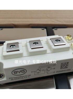 BG450B12LY4-I BG300B12UY4 BG300B12LY2 BG300B12UY2 400B12UY3