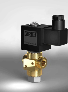 GSR电磁阀线圈 K0510139 DC205V G01604999 G075 7544A/1002/.012