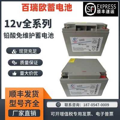 百瑞欧蓄电池BT12-100/12V17A24A38A55A65A100A120A通讯机房/基站