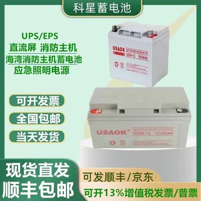 USAOK科星蓄电池UD12V7AH17A24A38A65A100A120A消防应急UPS直流屏