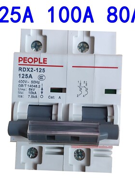 PEOPLE人民电器2P 125A大功率导轨式空气开关220V单相100安培RDX2