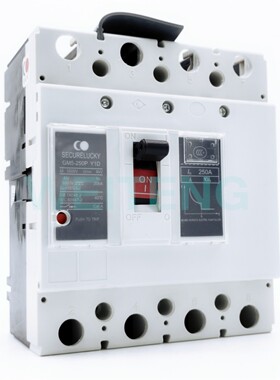 SECURELUCKY固安祥 GM5-250P Y1D 直流DC1000V空开250A光伏断路器