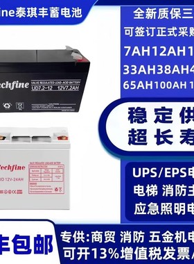 Techfine泰琪丰蓄电池UD12V7AH12A24A38A40A65A100A120A150AH消防